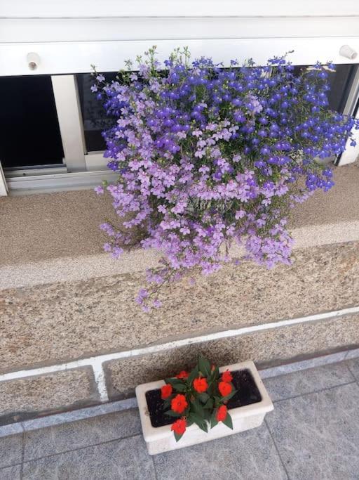 Apartamento En San Vicente De O Grove Ngoại thất bức ảnh